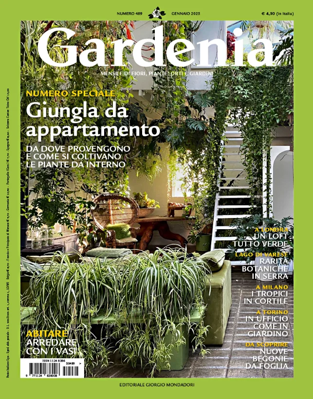 Copertina Testata di "Gardenia" Elitec Torino